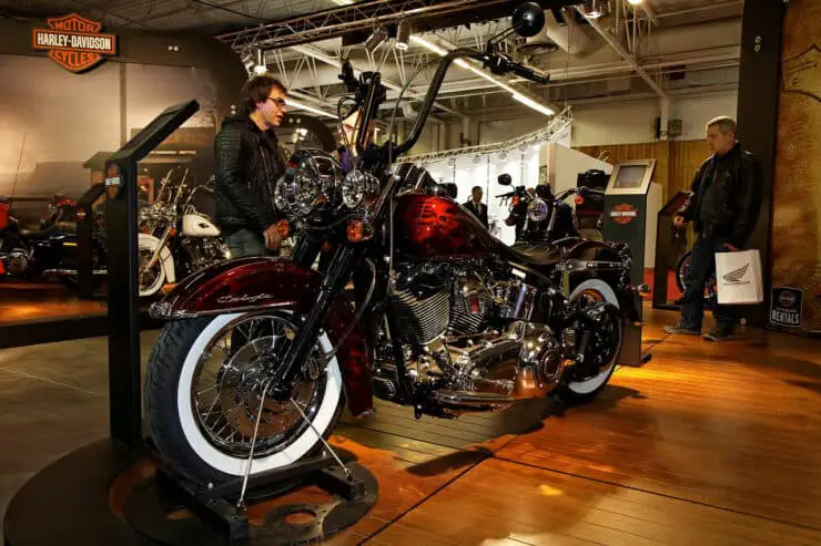What Does Flstn Stand For Harley Davidson