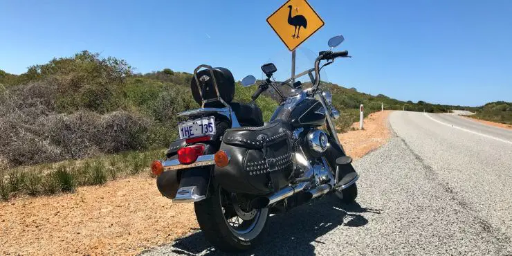 How Fast Can A Harley Davidson Go - Harley Davidson Motorcycle Parked In The Side Of The Road With Ostrich Warning Sign